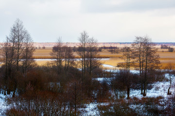 in the nature the beautiful winter