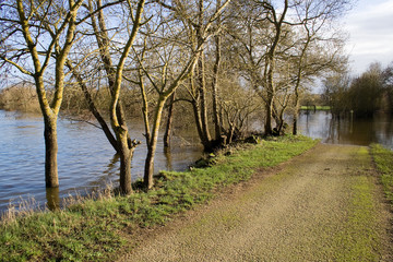 The banks of the Loire in flood in winter.