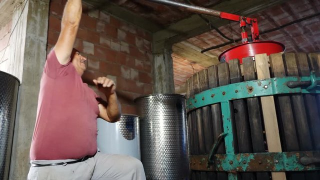 portrait of Homemade wine production-Farmer pressing grapes
