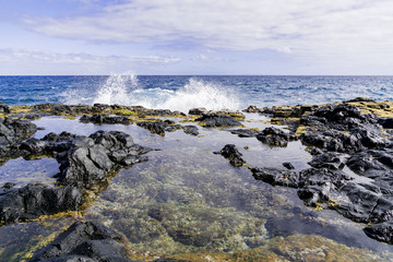 Hawaii Tidepool