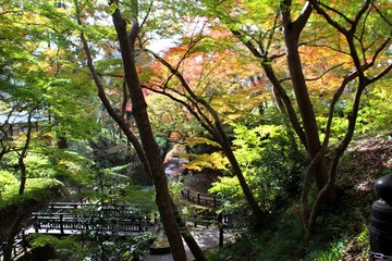 根来寺の紅葉