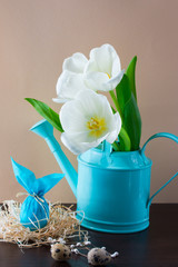 Blue watering can with white tulips and Easter egg in form of rabbit on brown background. Holiday decorating.