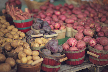 Fresh multicolored farmers market potatoes 