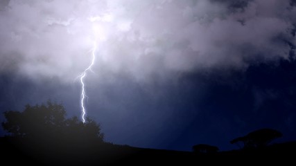 Fork lightning striking down during summer storm, beautiful scene, weather