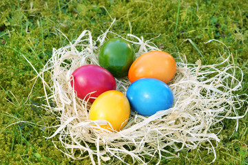 Easter, Ostern, Osterfest, Osternest, Ostereier, Wiese, Textraum, copy space