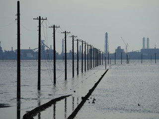 江川海岸の電柱
