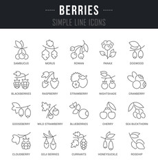 Set Vector Line Icons of Berries.