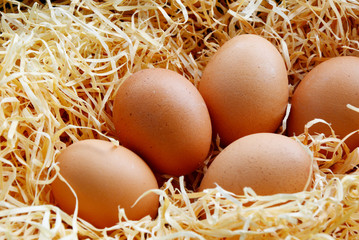 Many eggs in artificial straw with shadow