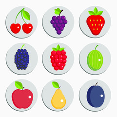 set of berry and fruit signs