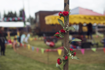 Fototapeta na wymiar Detalle de rosas rojas enrolladas en poste de madera de una feria/celebración callejera.
