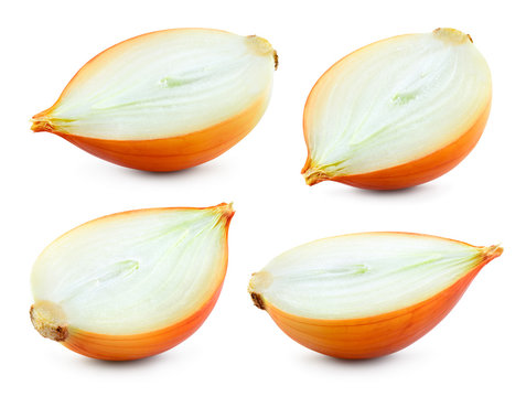 Onion bulb isolated. Onion half on white background. With clipping path. Full depth of field.