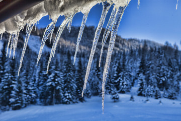 icicles in snowy landscape, Austria