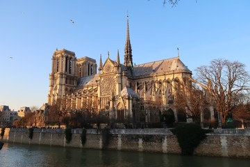 Fototapeta na wymiar Cathédrale Notre-Dame de Paris, façade sud au soleil couchant (France)