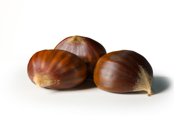 Still life of some chestnuts on a white background.
