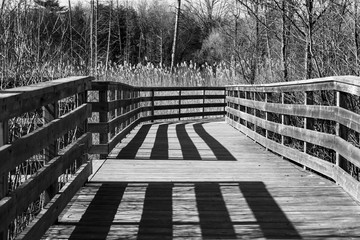 black and white shadows on a walking bridge