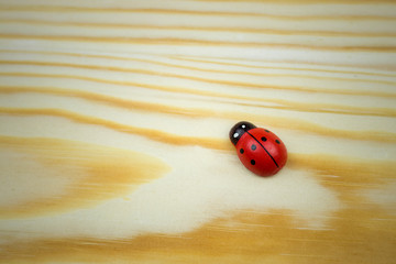 Red ladybug on woodут background  with vignette effect