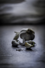 Aglio e spicchi in controluce