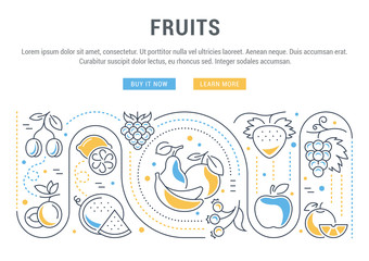 Website Banner and Landing Page of Fruits.