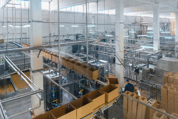milk and cheese production plant