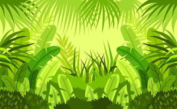 tropical forest.  child. design. vector background. illustration
