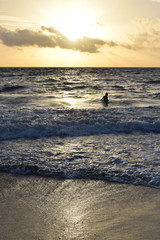 Fototapeta premium Beach scene with man swimming in the ocean at sunrise