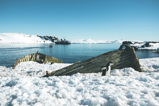 Ship Wreck and Adeliepenguin - Antarctica