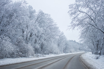 Fototapeta premium winter road