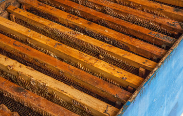 framework in the hive
