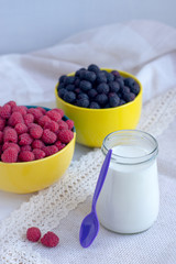 Healthy foods. Homemade yogurt with fruit and berries