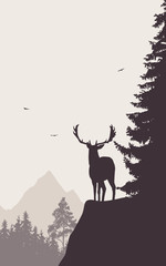 Deer standing on the top of the mountain and looking into the valley and forest