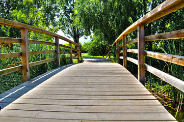 Obraz premium Pasarela o puente de madera