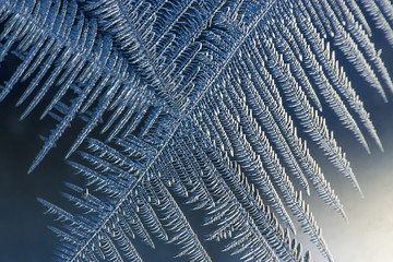 Frosted window. Pattern of ice chrystals on a glass surface. Macro shot.