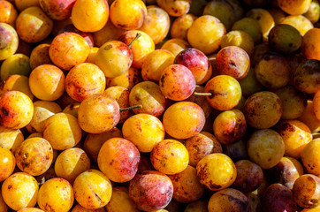 yellow mirabelles