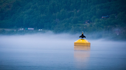 Buoy in the fog