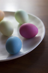 Easter eggs decoration.
