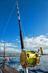 Big game fishing rods