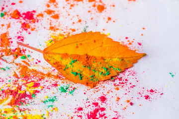 Holi Powder with a leaf