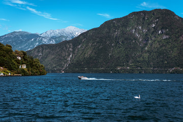 Fototapeta na wymiar Amazing view of bright blue Como lake, Lombardy Italy, panorama of the lake and the city. Mountains on the background and good sunny summer weather