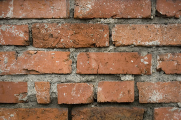 texture, background: wall of old bricks, orange, united by gray concrete layers, used to build new houses, Italy