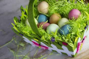 easter colored quail eggs in green soft grass in garden, attributes, happy easter, holidays, springtime, food, meal, symbol, seasonal, rustic, religious, cultural, decoration, spring, closeup, color, 