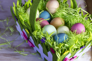 easter colored quail eggs in green soft grass in garden, attributes, happy easter, holidays, springtime, food, meal, symbol, seasonal, rustic, religious, cultural, decoration, spring, closeup, color, 