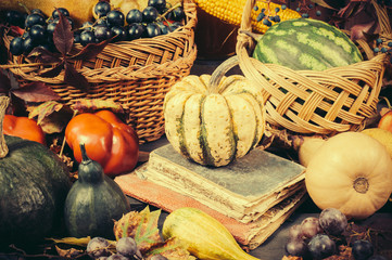 Autumn nature concept. Fall fruit and vegetables on wood. Thanksgiving