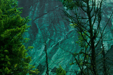 Phantasmagoric vew on pine trees and textured rock background. Annapurna circuit trekking route. Nepal.