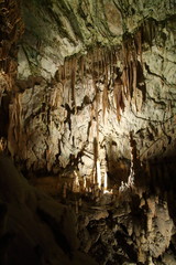 Jaskinia Postojna, Słowenia. Formacje wewnątrz jaskini ze stalaktytami i stalagmitami. - obrazy, fototapety, plakaty