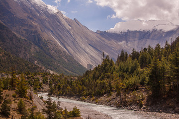 Fototapeta na wymiar Scenic landscape with blue river, pine forest, snow peak and epic mountain background. Annapurna circuit trekking route. Nepal.