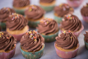 close up of chocolate cream top cupcakes with sprinkles