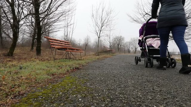 Woman walk with child in baby stroller at large bridge over lake in fog time. Woman walking at park in cloudy weather. Slider shot