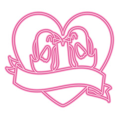 lovely couple birds inside heart ribbon decoration vector illustration