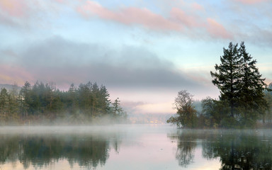 Early Morning Fog On The Bay