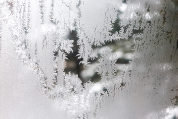 frostwork on frozen window symbolizes winter and cold, close up